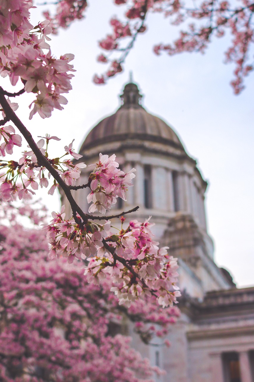 California State Capitol